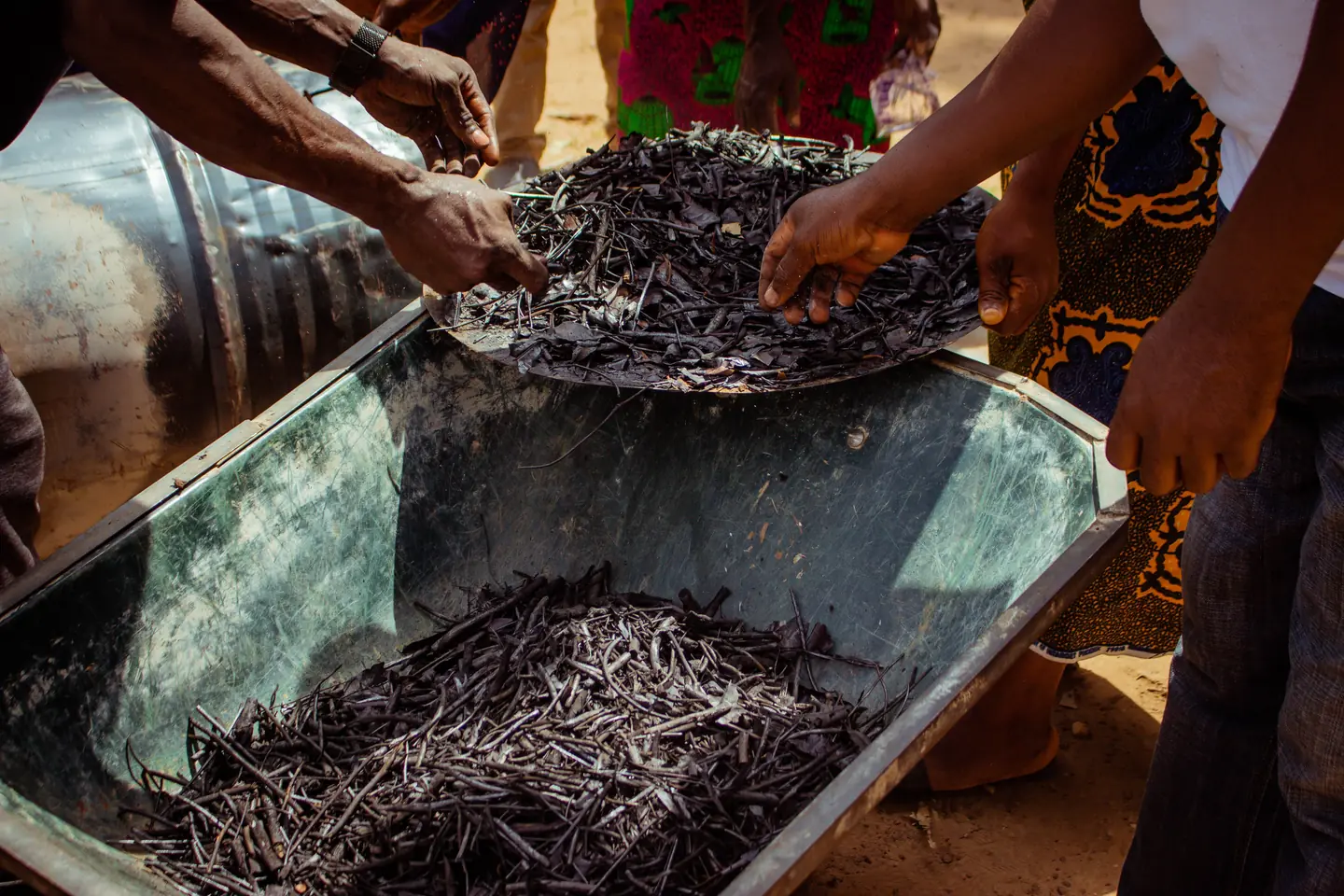 Hands working finished biochar in a wheelbarrow