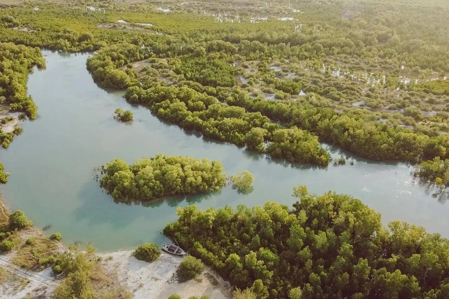 A river winding through dense mangrove forest