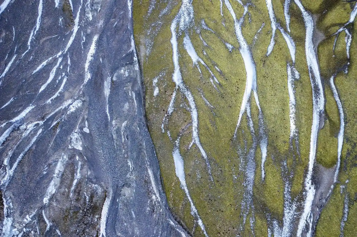 A braided river delta fanning out across a floodplain