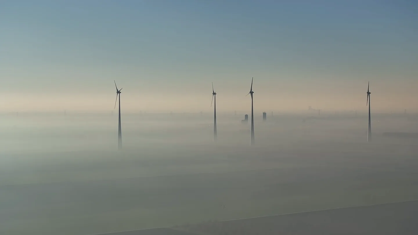 A row of wind turbines standing in a low bank of fog